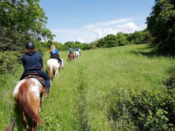 Passeggiata a cavallo a Cerveteri tra boschi e vigneti