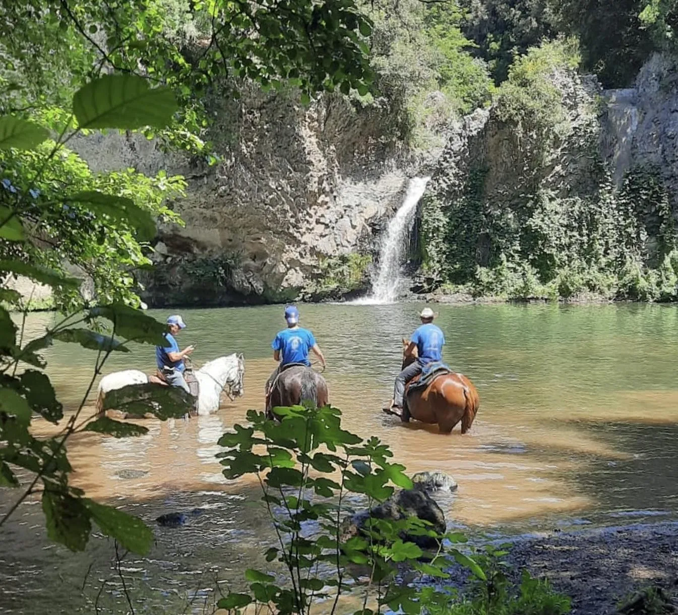 Passeggiata a cavallo a Cerveteri tra boschi e vigneti