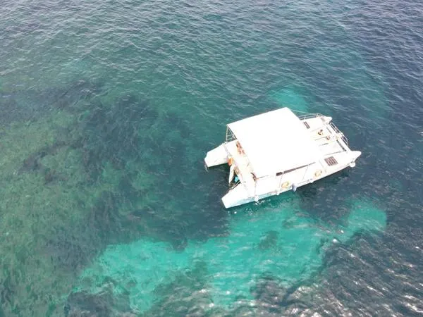 Escursione in catamarano nella Riserva dello Zingaro da Castellammare del Golfo