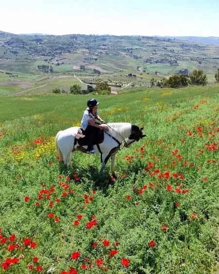 Passeggiata a cavallo in campagna ad Agrigento