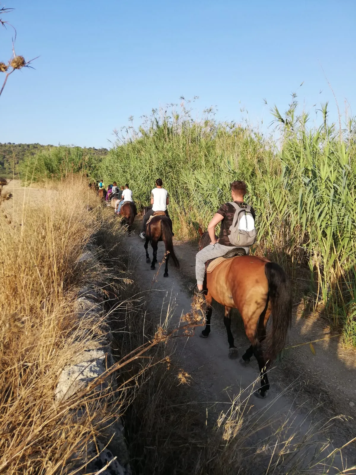 Passeggiata a cavallo vicino a Ragusa