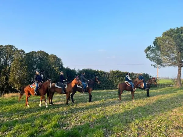 Passeggiata a cavallo con degustazione vicino a Verona