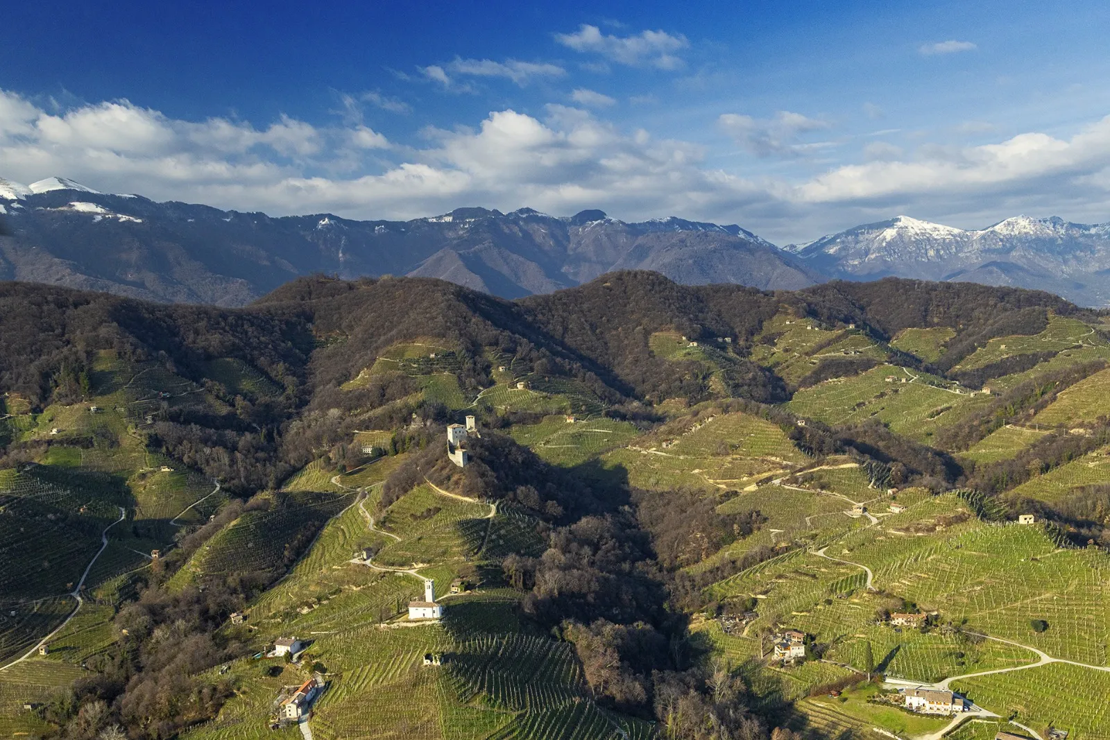 Degustazione di vini a Conegliano