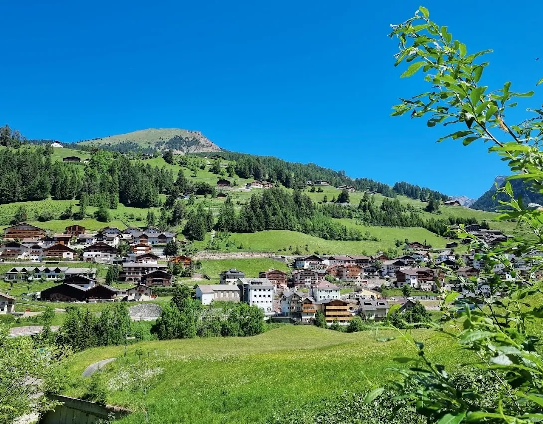 Passeggiata con Alpaca nella Val Gardena in Alto Adige