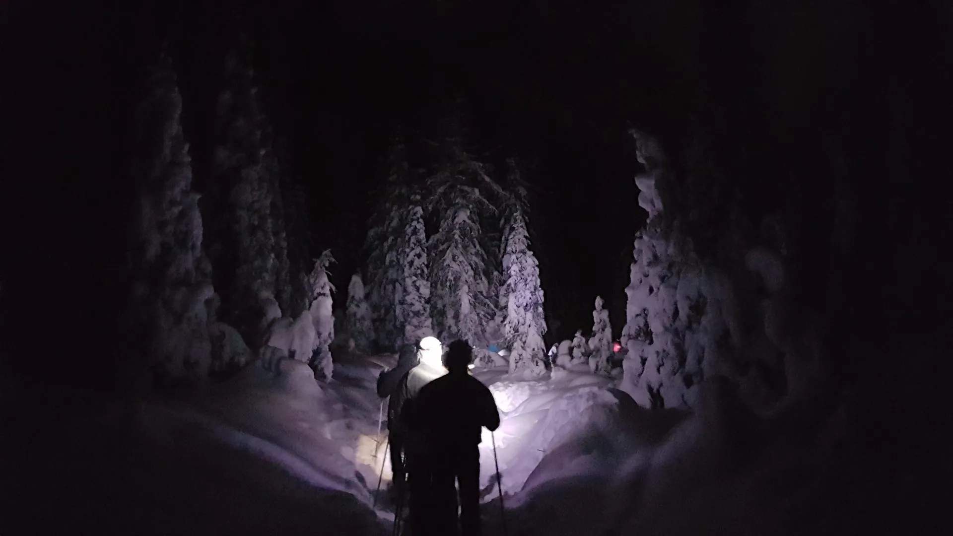 Ciaspolata notturna con cena in motoslitta in Val di Fassa