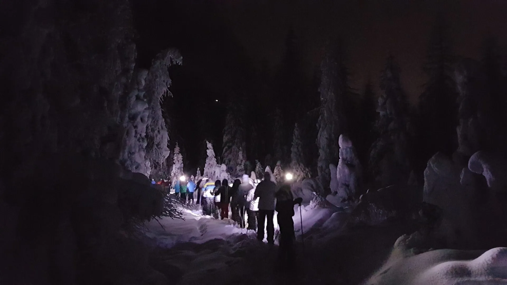 Ciaspolata notturna con cena in motoslitta in Val di Fassa