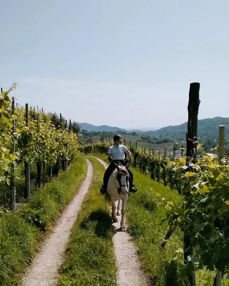 Passeggiata a cavallo sulle Colline del Prosecco da Cison di Valmarino