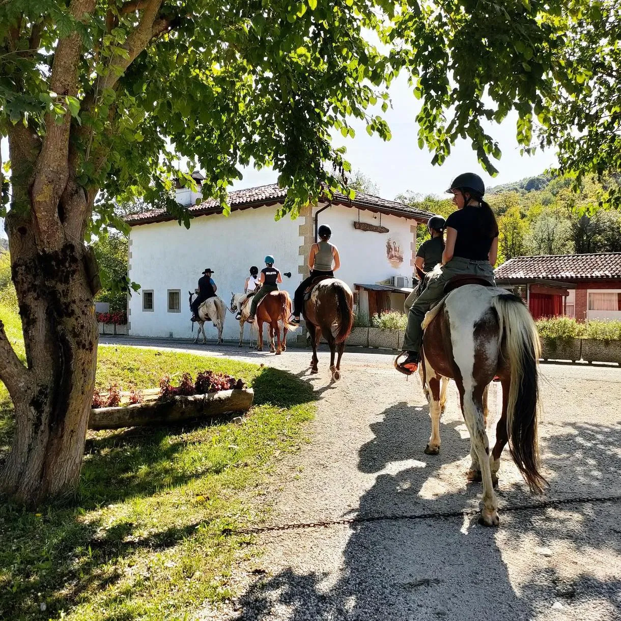 Passeggiata a cavallo sulle Colline del Prosecco da Cison di Valmarino