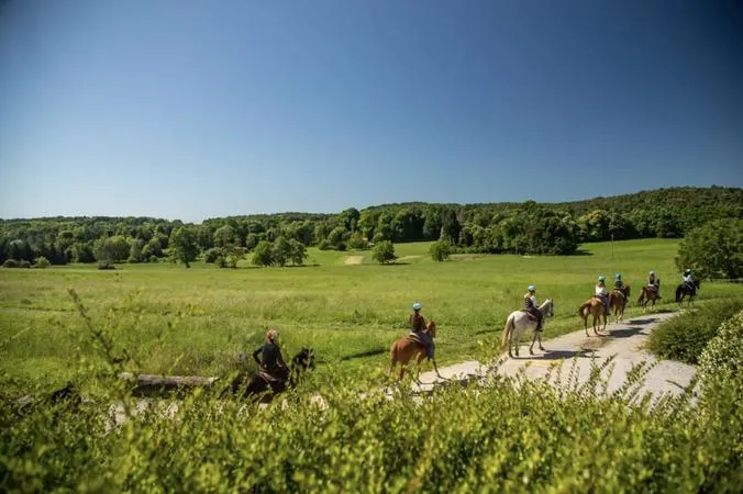 Passeggiata a cavallo in Brianza vicino a Como