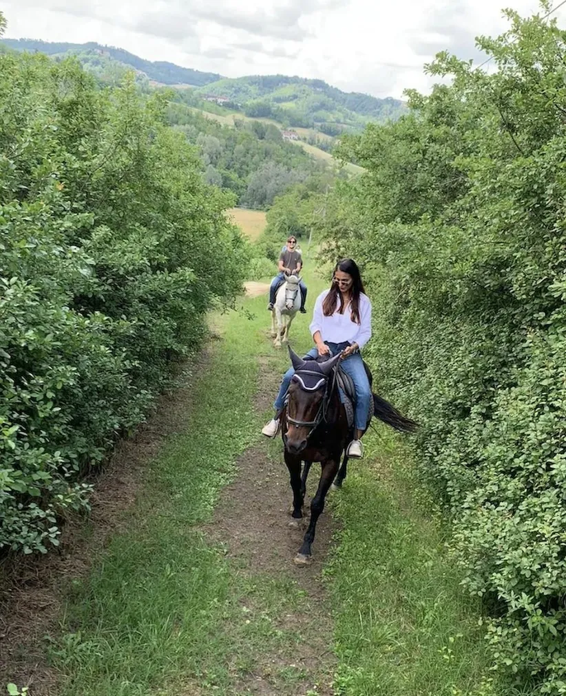 Passeggiata a cavallo a Ozzano Monferrato
