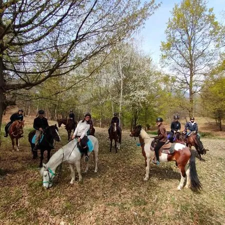 Passeggiata a cavallo a Mongrando nel Biellese
