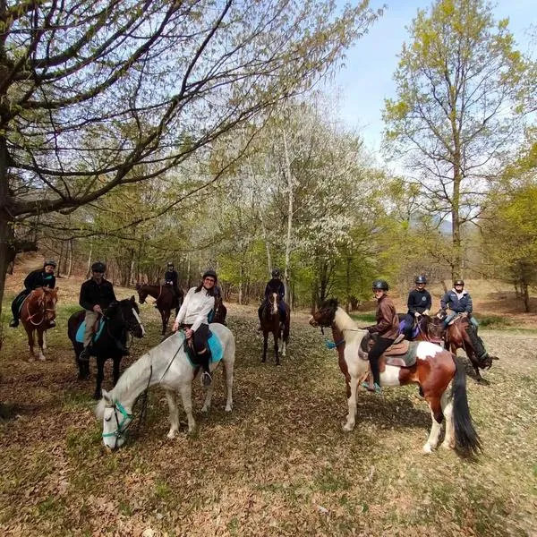 Passeggiata a cavallo a Mongrando nel Biellese