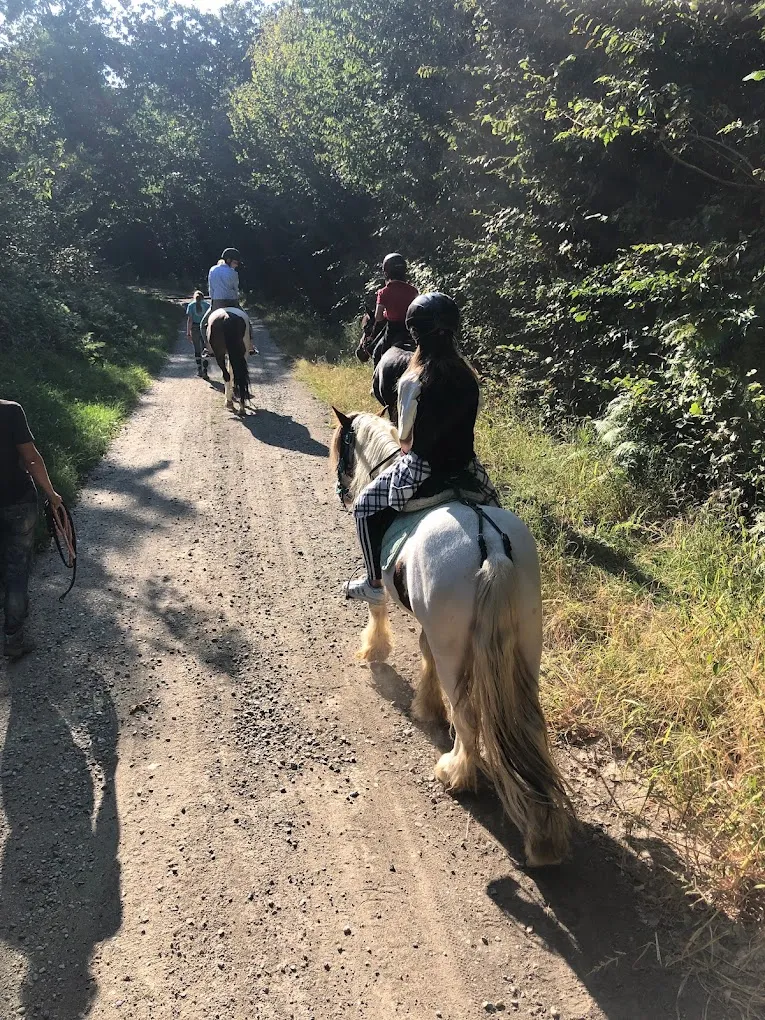 Passeggiata a cavallo a Mongrando nel Biellese