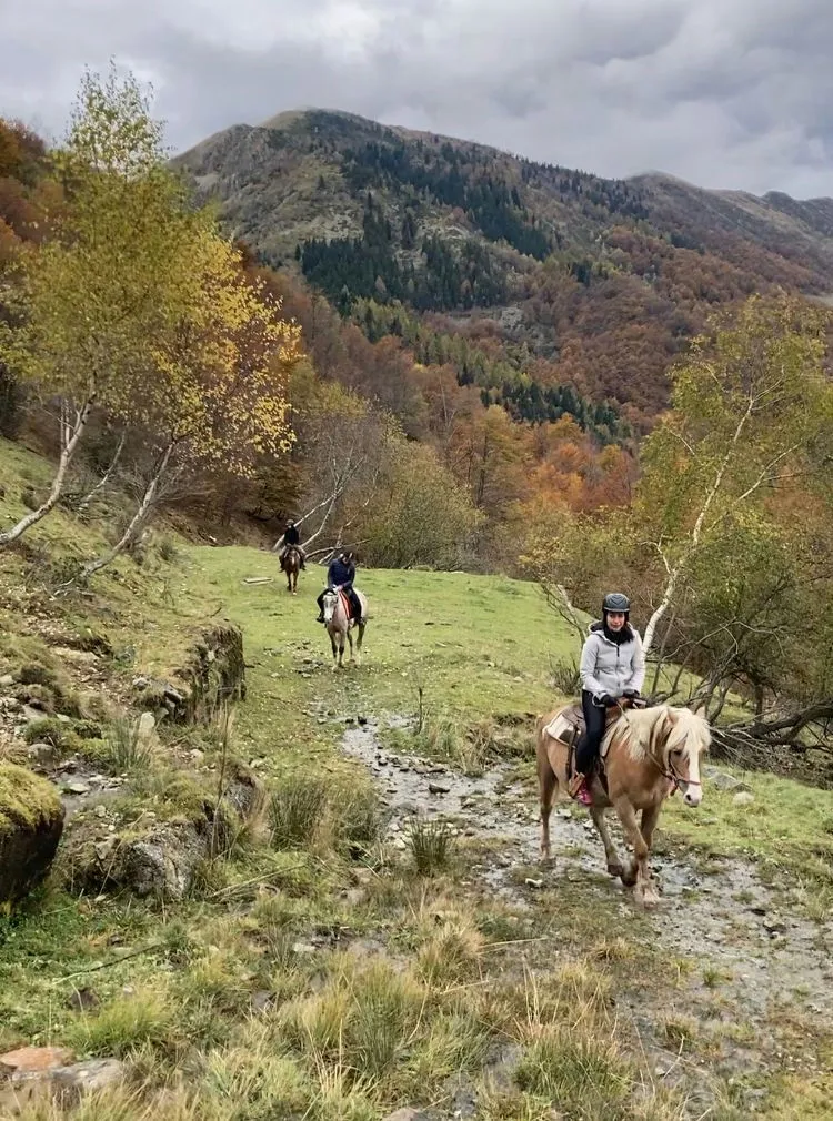 Passeggiata a cavallo sulle colline di Biella