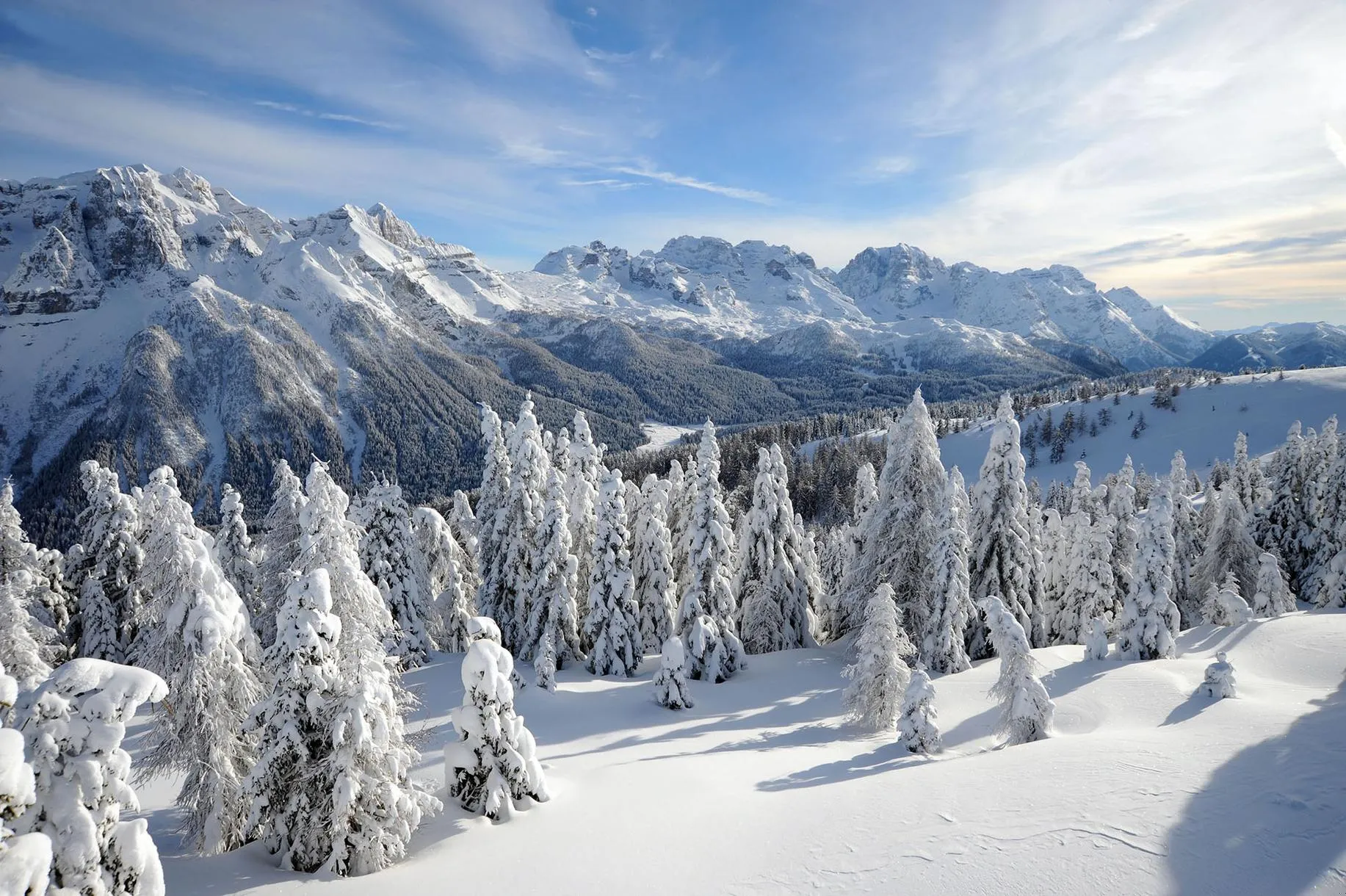 Cena in baita con motoslitta a Folgarida in Val di Sole