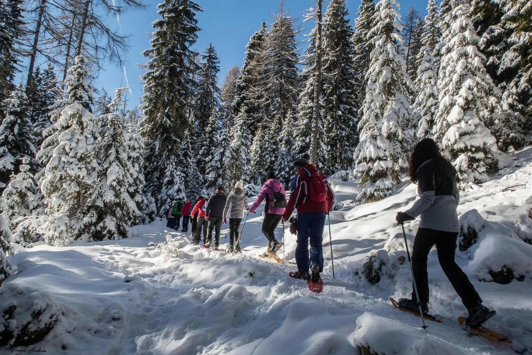 Ciaspolata in Val di Sole nel Parco Nazionale dello Stelvio