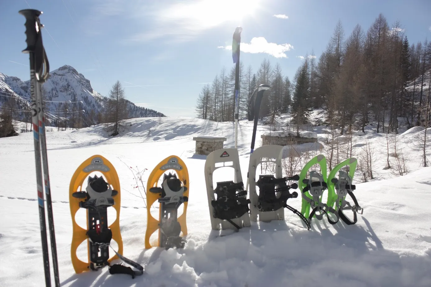 Ciaspolata nel Parco Naturale del Monte Baldo