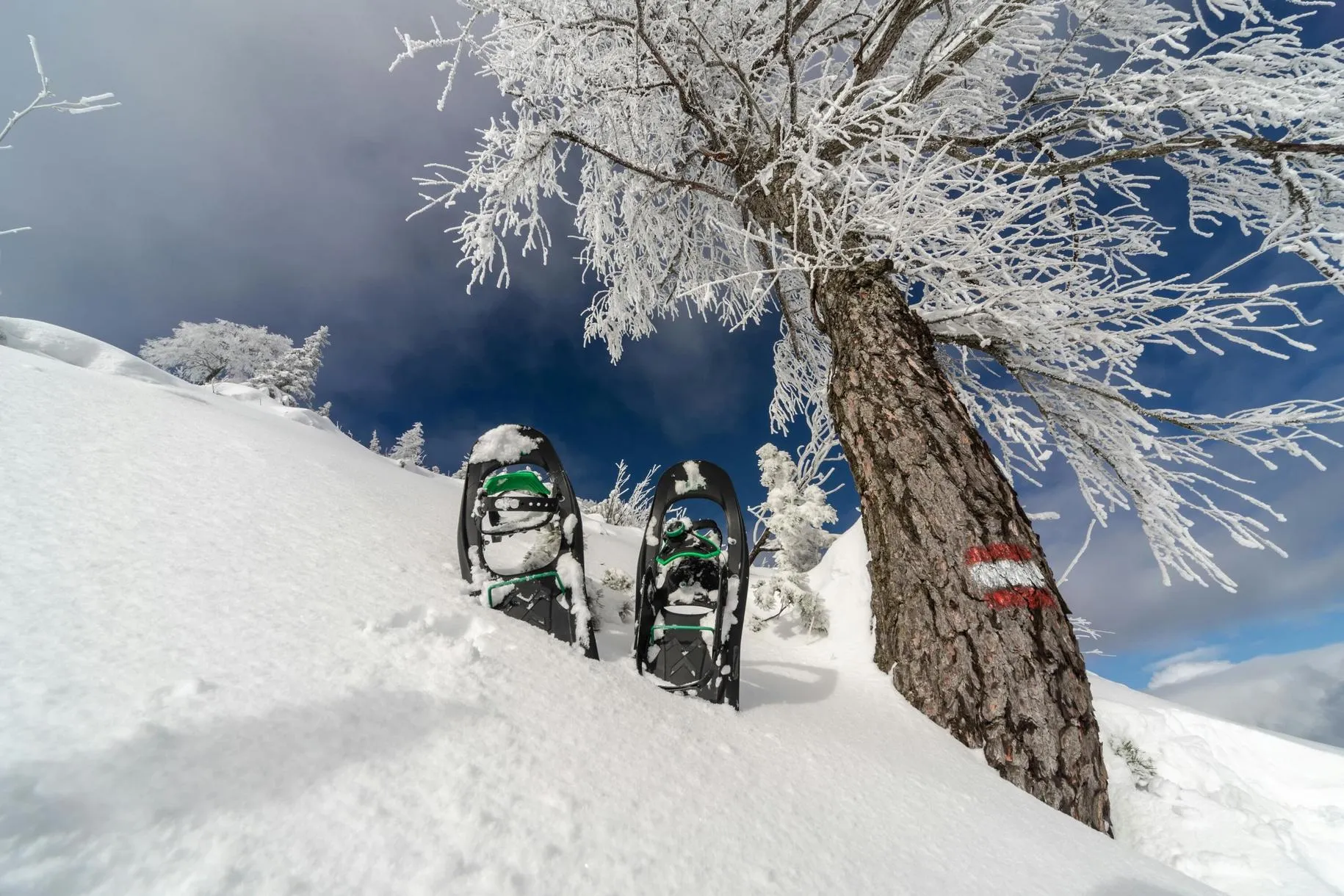 Ciaspolata a Bardonecchia al tramonto in Val di Susa