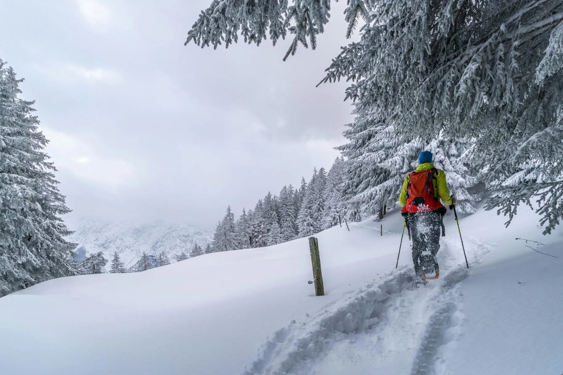 Ciaspolata a Bardonecchia al tramonto in Val di Susa