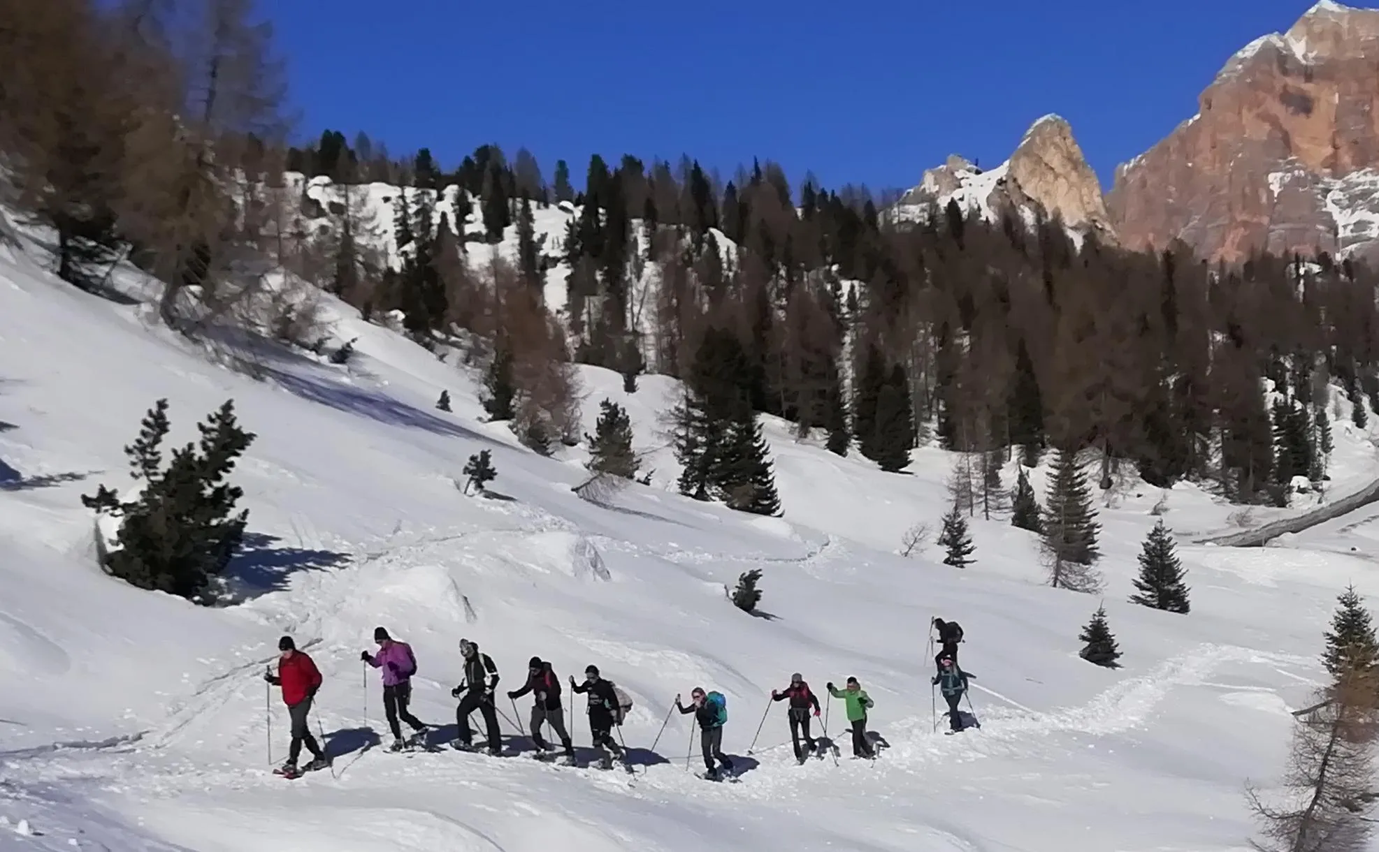 Ciaspolata con guida tra i monti dell’Alpago