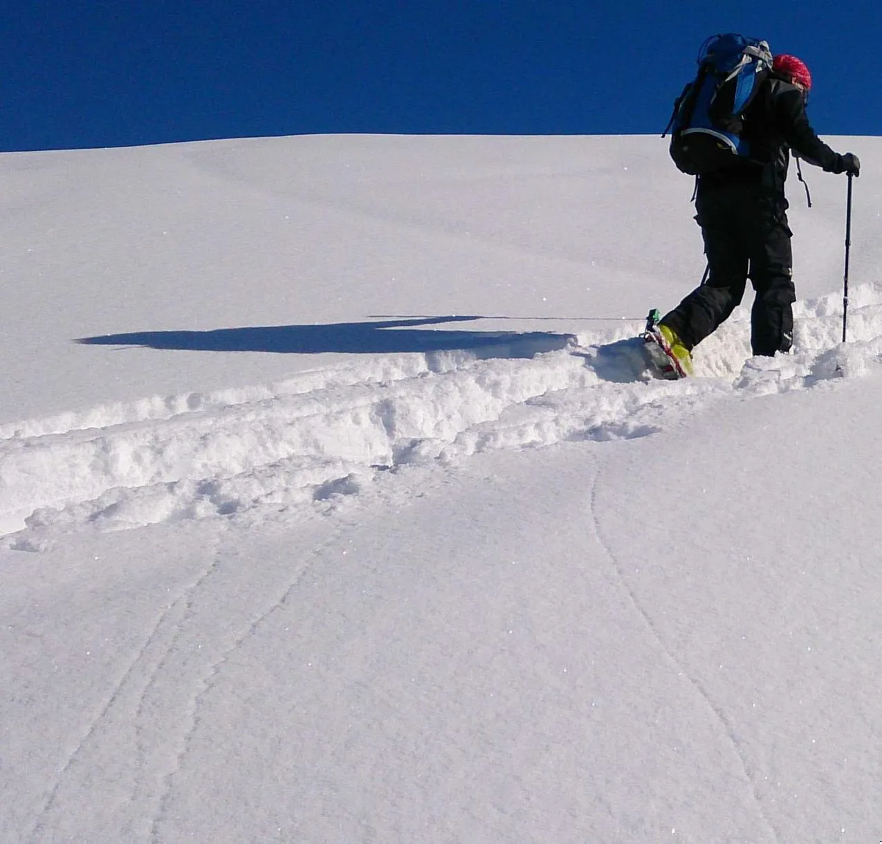 Ciaspolata con guida tra i monti dell’Alpago