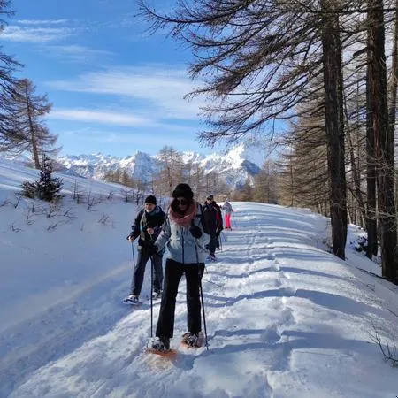 Ciaspolata con guida nei boschi di Bardonecchia