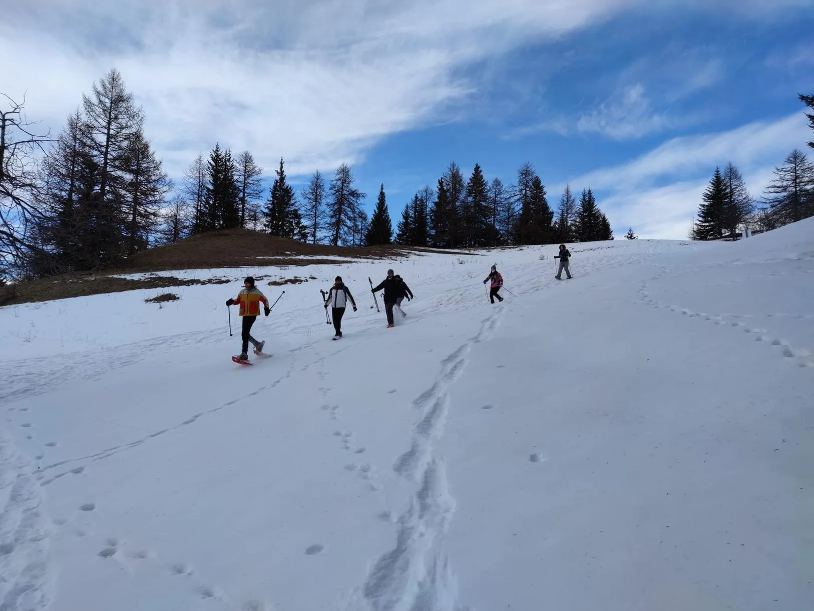 Ciaspolata con guida nei boschi di Bardonecchia
