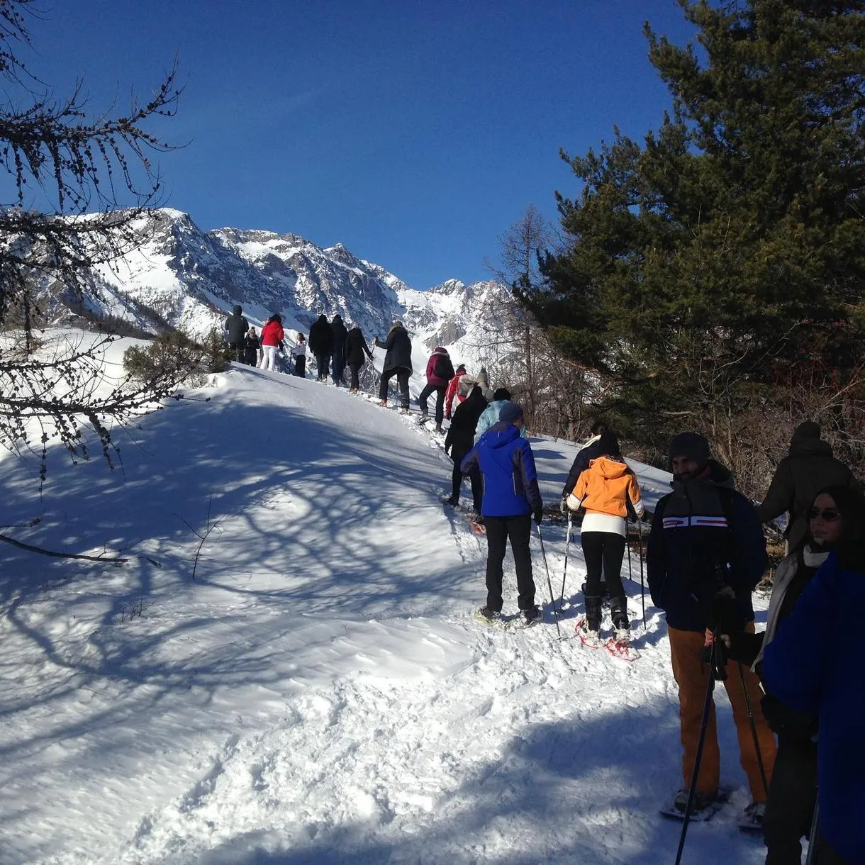 Ciaspolata con guida nei boschi di Bardonecchia