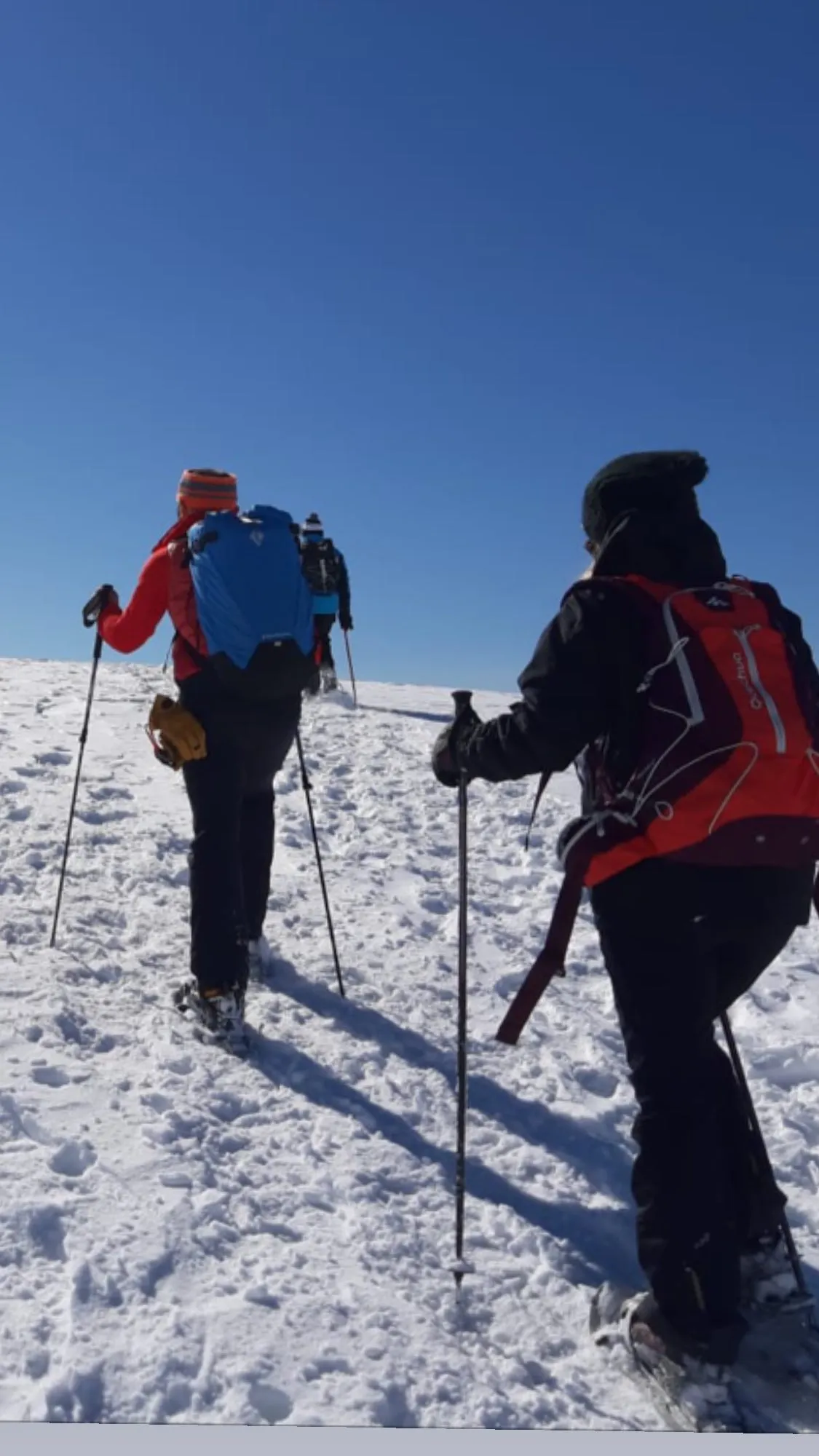 Ciaspolata di gruppo a Montecampione in Val Camonica