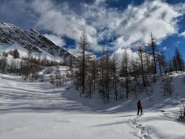 Ciaspolata con guida a Oulx in Val di Susa
