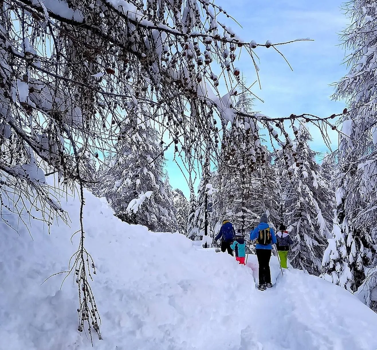 Ciaspolata di gruppo a Passo San Pellegrino da Moena