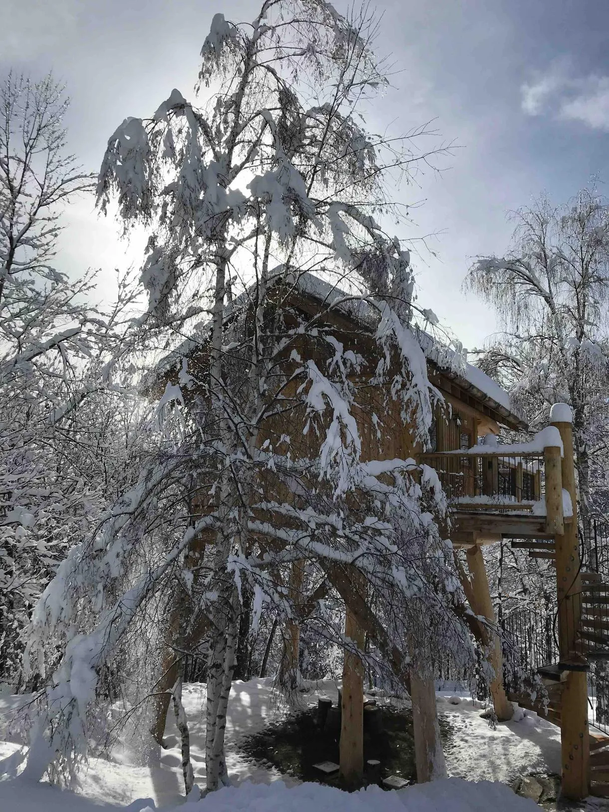Notte in casa sull'albero a Pamparato fuori Cuneo