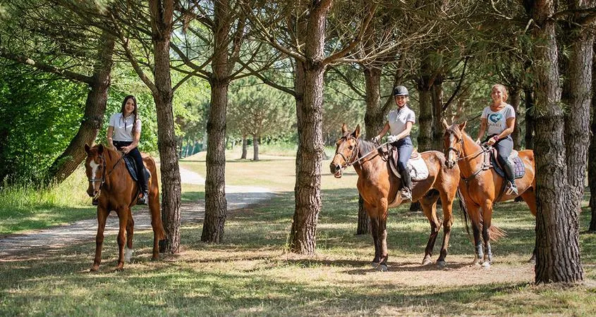 Passeggiata a cavallo nel Delta del Po sull'isola di Albarella