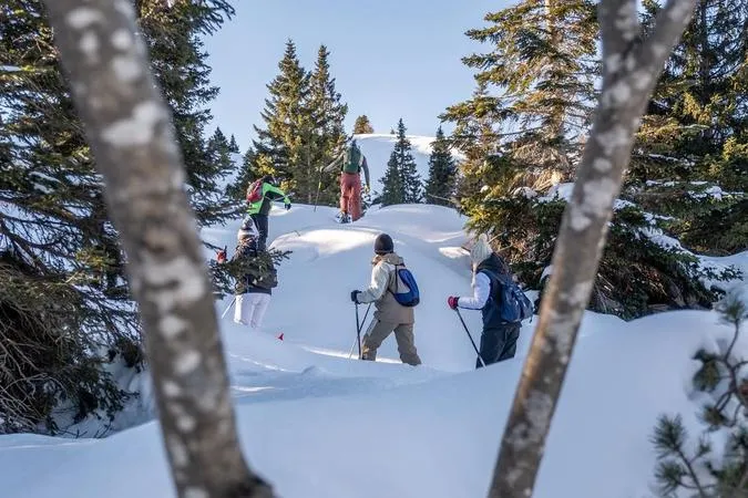 Escursione in ciaspole ad Andalo sulla Paganella