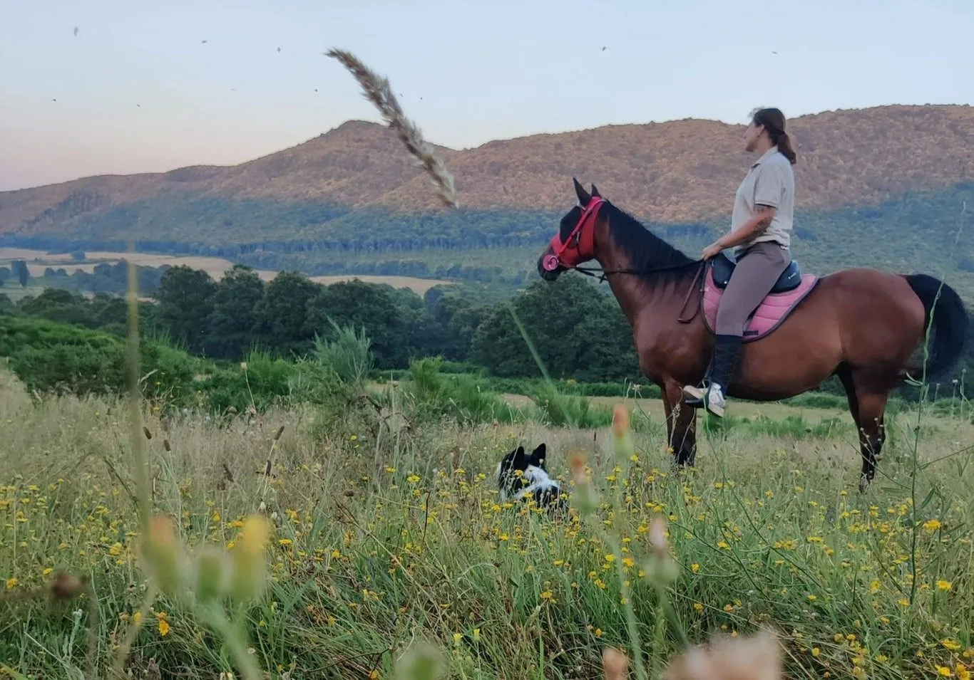 Passeggiata a cavallo ai Pratoni del Vivaro nel Parco dei Castelli Romani