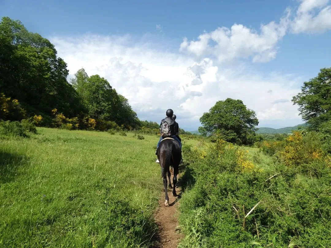 Passeggiata a cavallo ai Pratoni del Vivaro nel Parco dei Castelli Romani