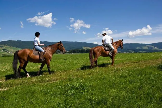 Passeggiata a cavallo sull'Altopiano di Asiago