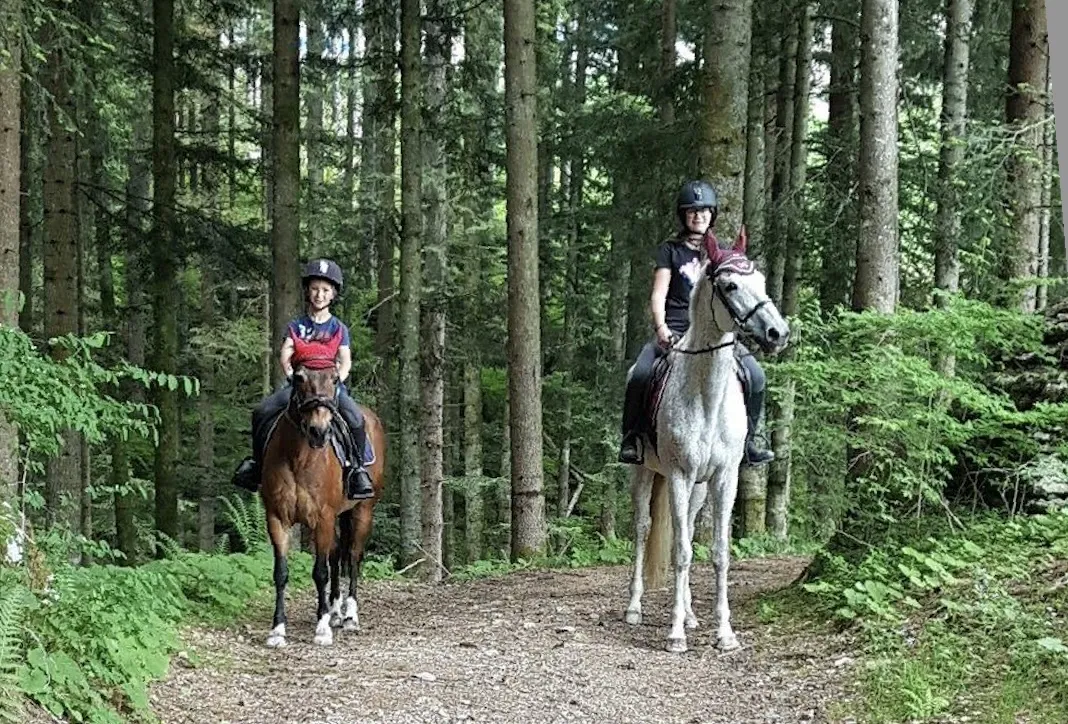 Passeggiata a cavallo sull'Altopiano di Asiago