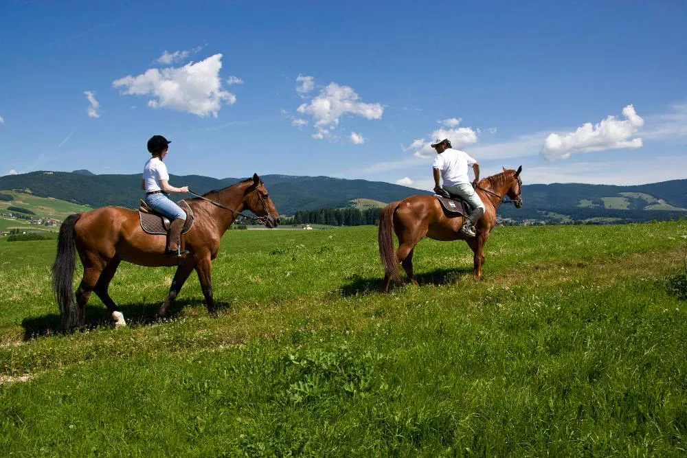 Passeggiata a cavallo sull'Altopiano di Asiago