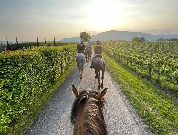 Passeggiata a cavallo tra i vigneti della Franciacorta
