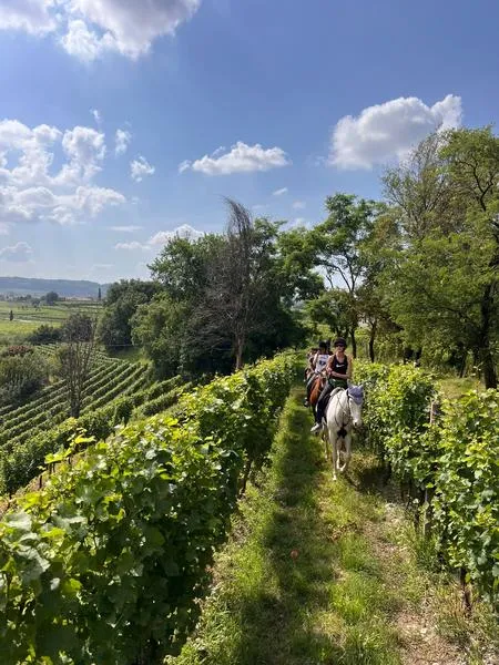 Passeggiata a cavallo tra i vigneti della Franciacorta