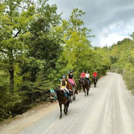 Passeggiata a cavallo con aperitivo nella campagna di Sinalunga