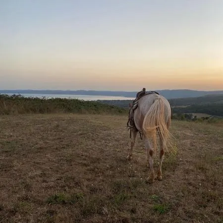 Passeggiata a cavallo a Bracciano sui Monti della Tolfa
