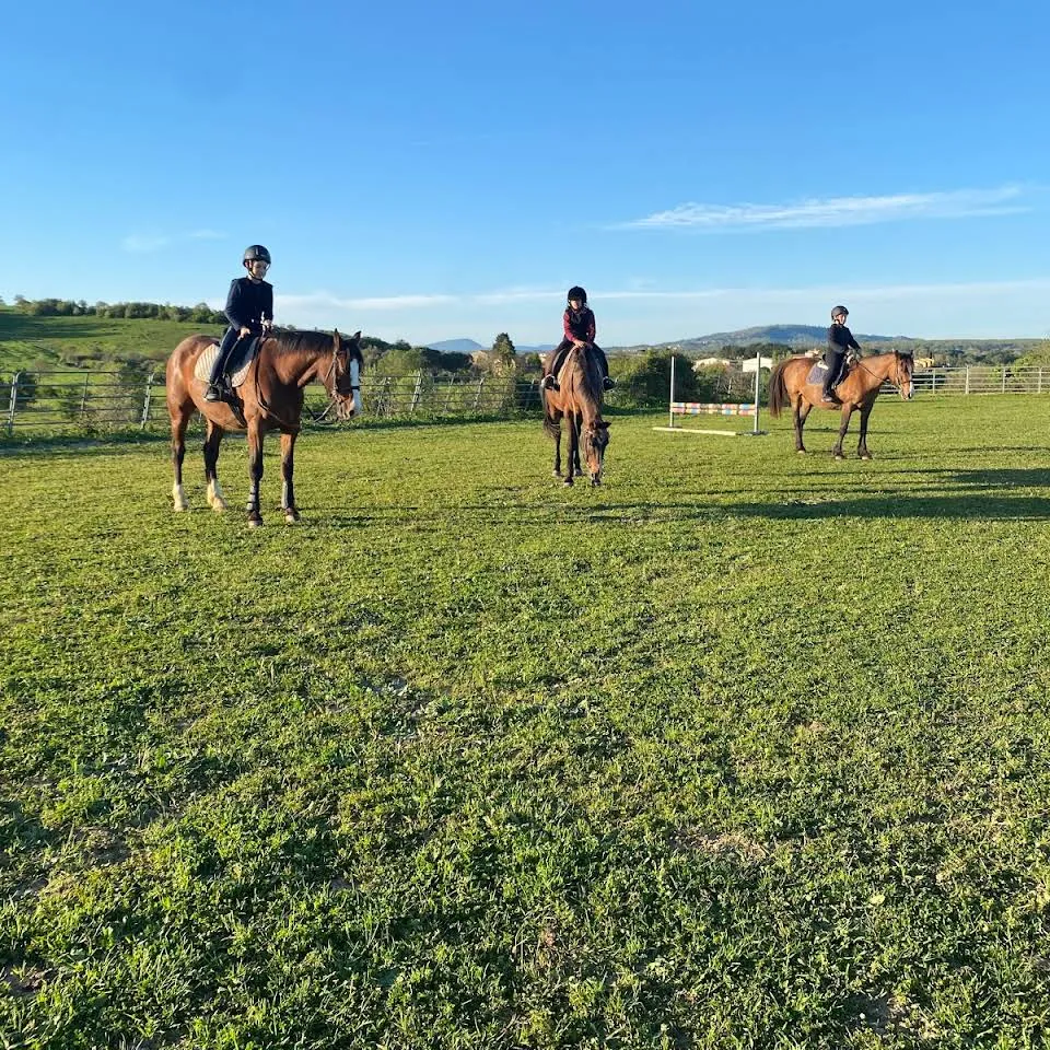 Passeggiata a cavallo a Bracciano sui Monti della Tolfa