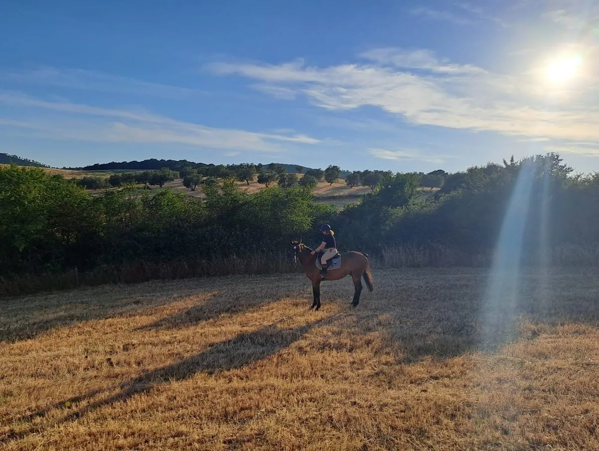 Passeggiata a cavallo a Bracciano sui Monti della Tolfa