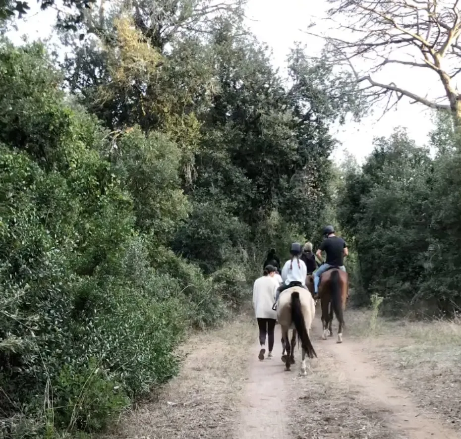 Passeggiata a cavallo a Castel Fusano tra pineta e mare