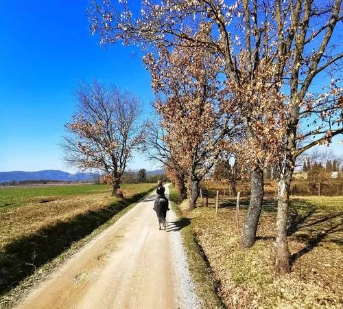 Passeggiata a cavallo in Val di Chiana fuori Arezzo