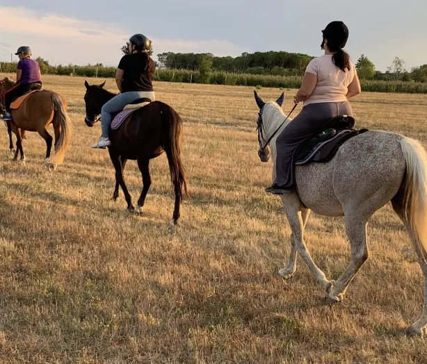 Passeggiata a cavallo in Val di Chiana fuori Arezzo