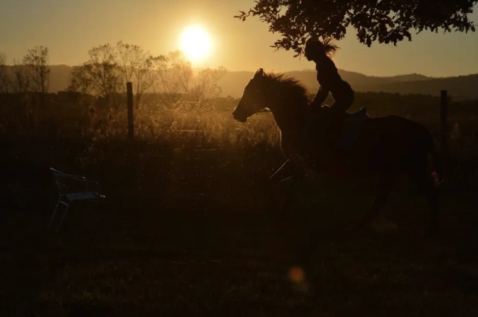 Passeggiata a cavallo in Val di Chiana fuori Arezzo