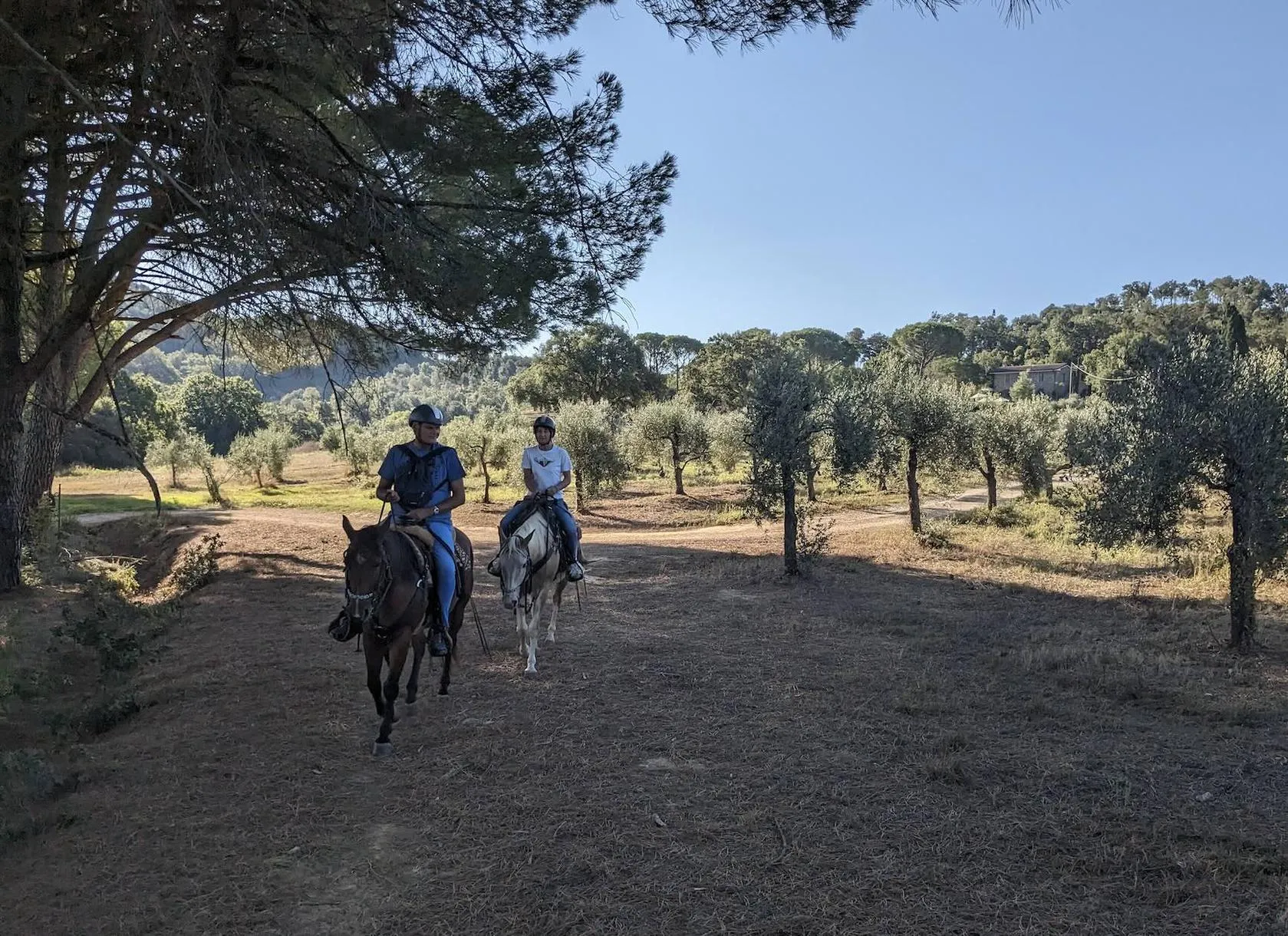 Passeggiata a cavallo a Castiglione della Pescaia nella Maremma Grossetana